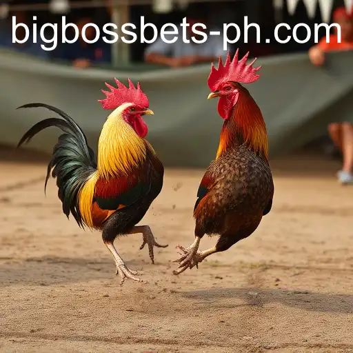 Gaming Experience BIG BOSS BETS - 800+ Premium and Exclusive Games